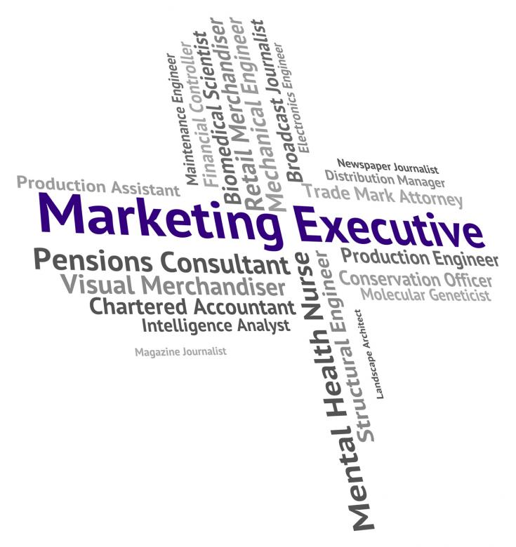 Free stock image of Marketing Executive Indicates Managing Director And Boss created by Stuart Miles