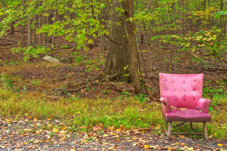 Free stock image of Abandoned Forest Comfort - HDR created by Nicolas Raymond