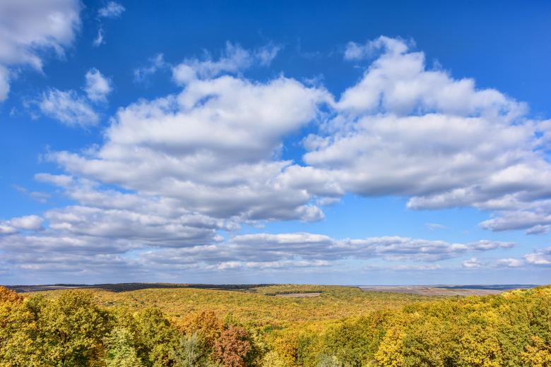 Free stock image of Scenic landscape with golden forest created by Eugeniu Frimu