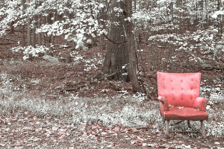 Free stock image of Abandoned Forest Comfort - Pink Winter Punch HDR created by Nicolas Raymond