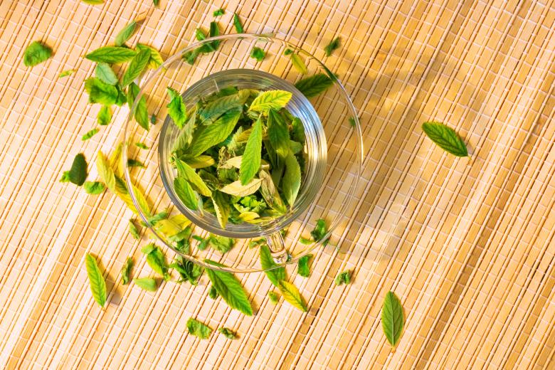 Free stock image of Cup with leaves created by 2happy