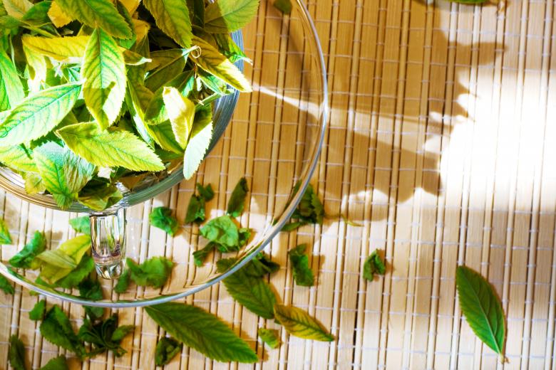 Free stock image of Cup with leaves created by 2happy