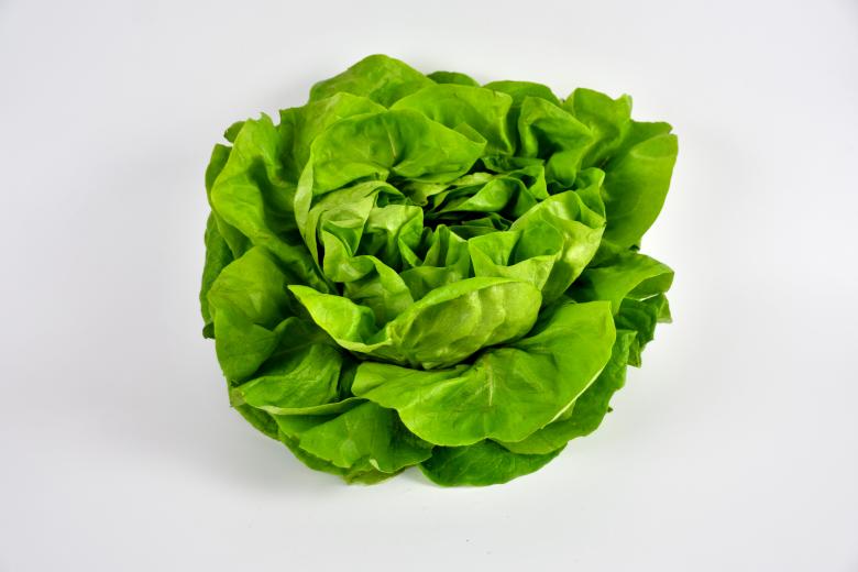 Free stock image of Green Lettuce created by Richard Revel