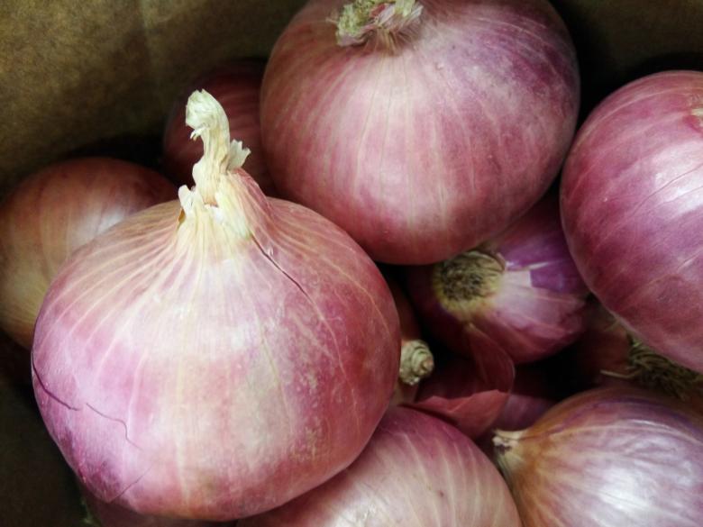 Free stock image of Onions created by kiraan
