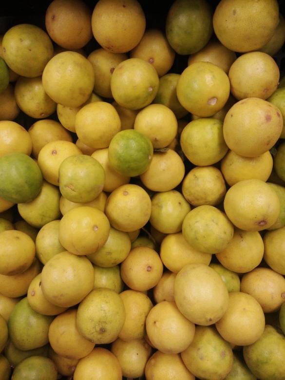 Free stock image of Fresh Lemons created by kiraan