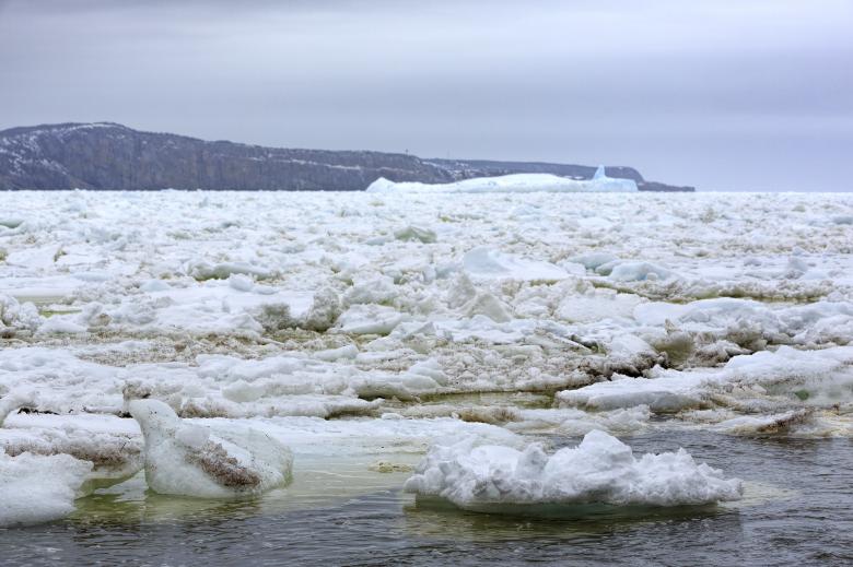 Free stock image of Coastal Ice Pack created by Geoffrey Whiteway