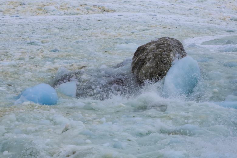Free stock image of Coastal Ice at Shore created by Geoffrey Whiteway