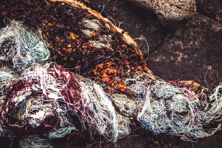 Free stock image of Tangled Fishnet Texture created by Bjorgvin
