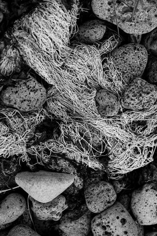 Free stock image of Old Fishing Nets and Rocks created by Bjorgvin