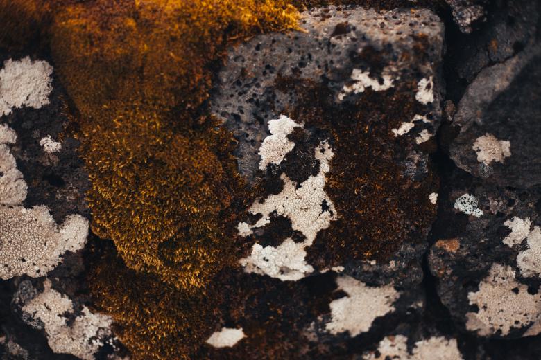 Free stock image of Rocks Covered in Moss created by Bjorgvin