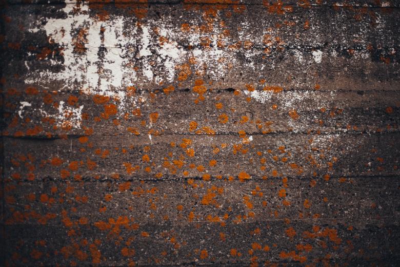 Free stock image of Grunge Old Concrete Wall Texture created by Bjorgvin