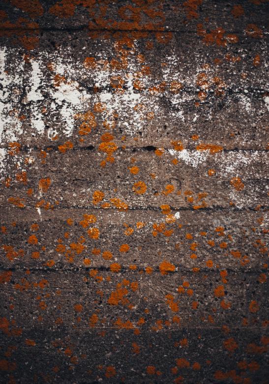 Free stock image of Grunge Concrete Wall Background created by Bjorgvin