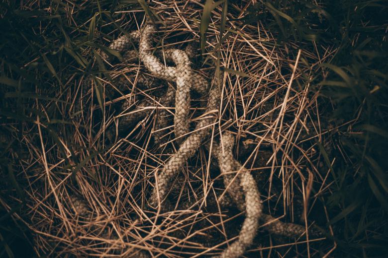 Free stock image of Old Rope in Grass created by Bjorgvin