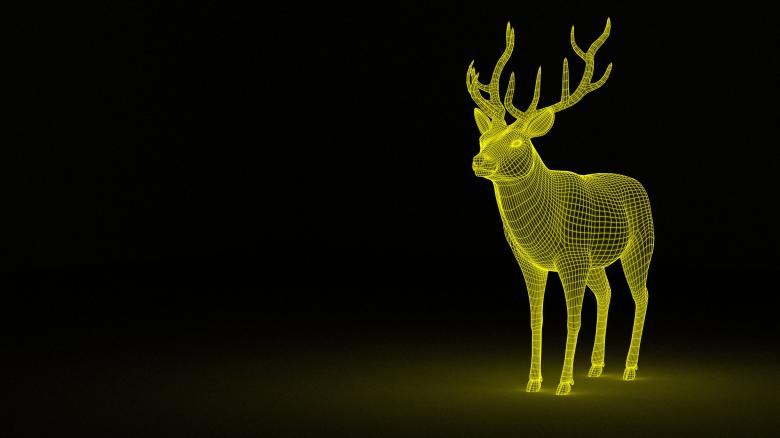 Free stock image of 3D Deer Wireframe created by Pixabay