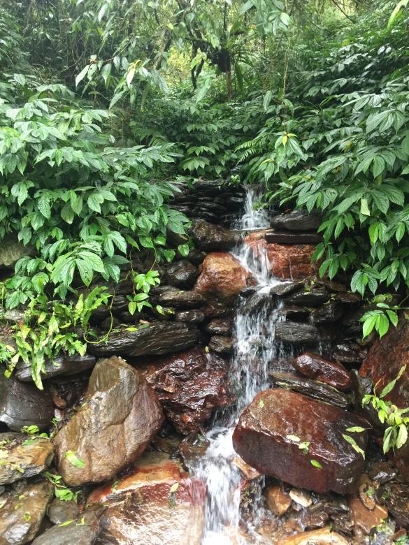 Free stock image of Small Water Stream created by Chen Yen Ju