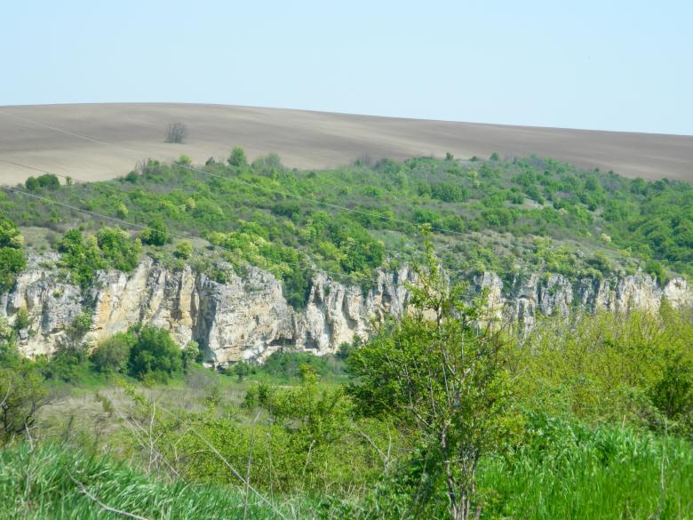 Free stock image of Turkey Green Nature created by Hulya Yılmaz