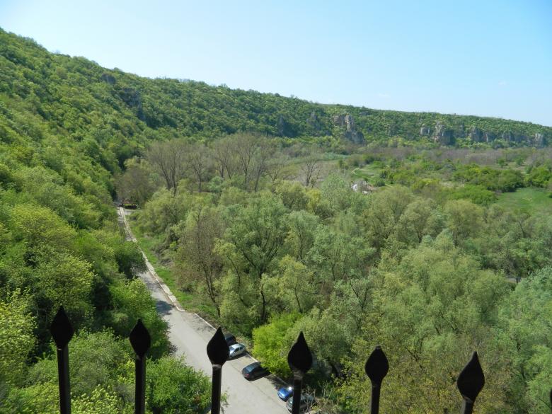 Free stock image of Green Trees Landscape created by Hulya Yılmaz