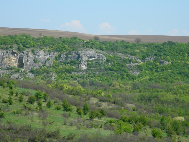 Free stock image of Green Landscape created by Hulya Yılmaz
