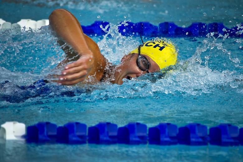 Free stock image of Swimming Race created by Pixabay