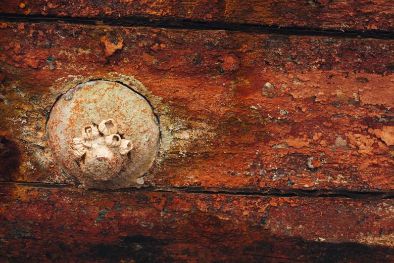 Free stock image of Old Grunge Wooden Background created by Bjorgvin
