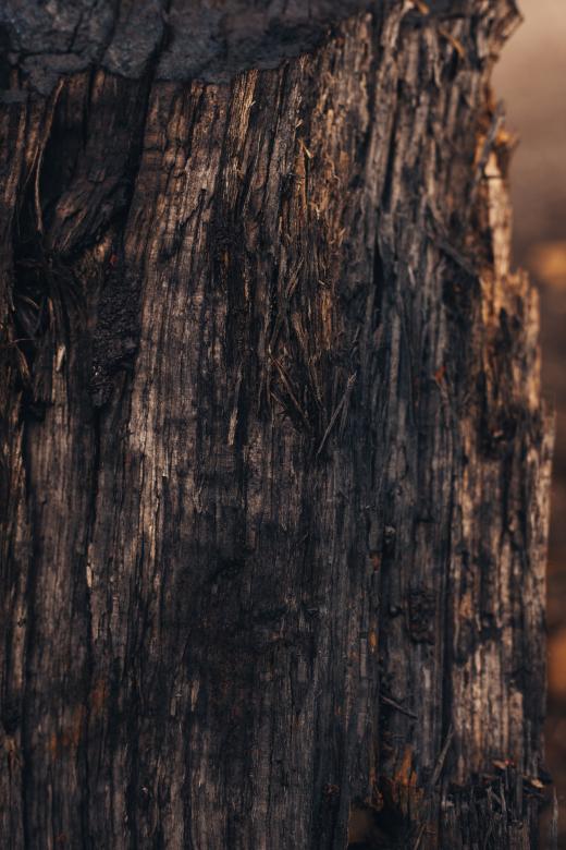 Free stock image of Black Wood Texture created by Bjorgvin