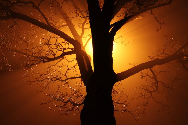 Free stock image of At Sunset created by Pixabay