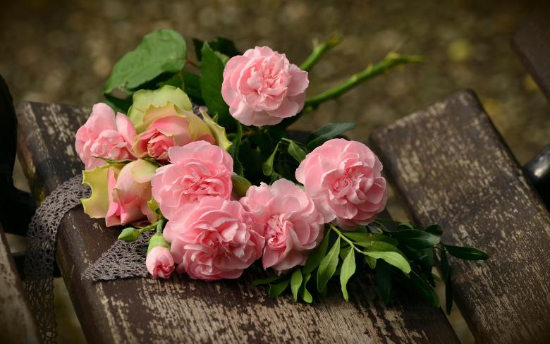 Free stock image of Pink Flowers created by Pixabay