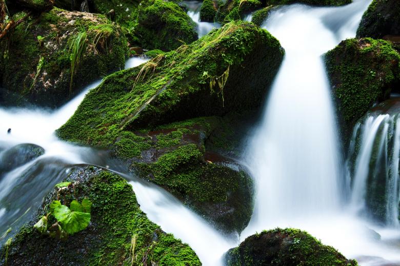 Free stock image of Running Stream created by Pixabay