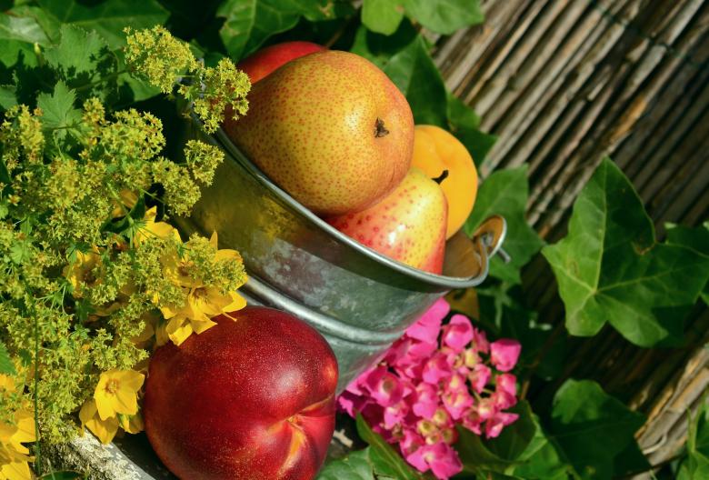 Free stock image of Fruits in the Garden created by Pixabay