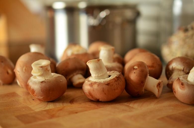 Free stock image of Bunch of Mushrooms created by Pixabay