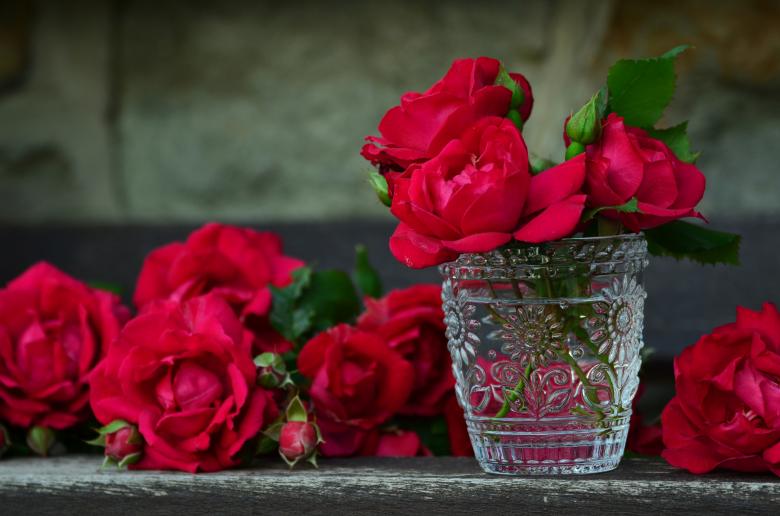 Free stock image of Red Roses created by Pixabay