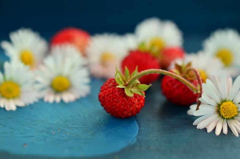 Free stock image of Strawberry and Flowers created by Pixabay