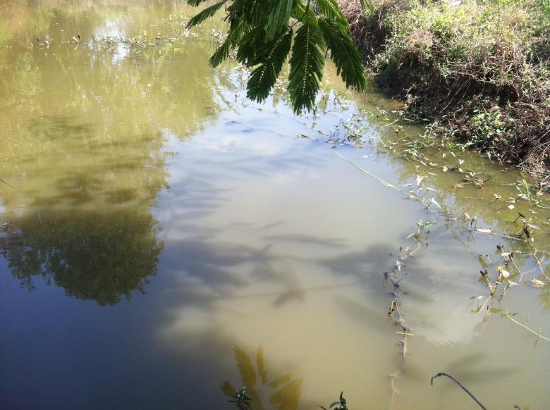 Free stock image of River in Beng Lake created by Sen Bavel
