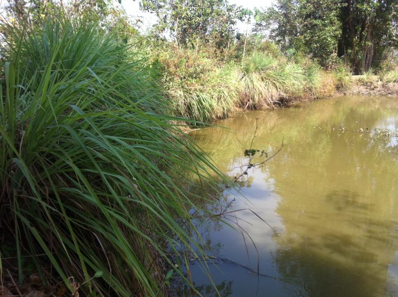 Free stock image of River in Beng Lake created by Sen Bavel