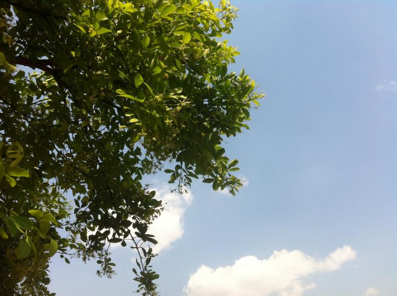 Free stock image of Cloud in Beng Lake created by Sen Bavel