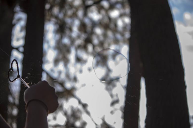 Free stock image of Blowing Soap Bubbles in the Park created by Eduardo Soares Bogosian