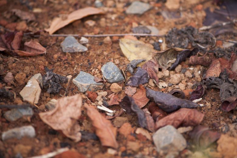 Free stock image of Ground grunge created by Eduardo Soares Bogosian