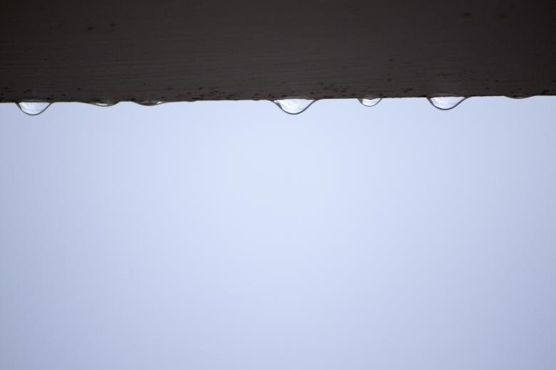 Free stock image of Macro water drops created by Eduardo Soares Bogosian