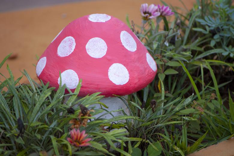 Free stock image of Garden mushroom surrounded by plants created by Eduardo Soares Bogosian