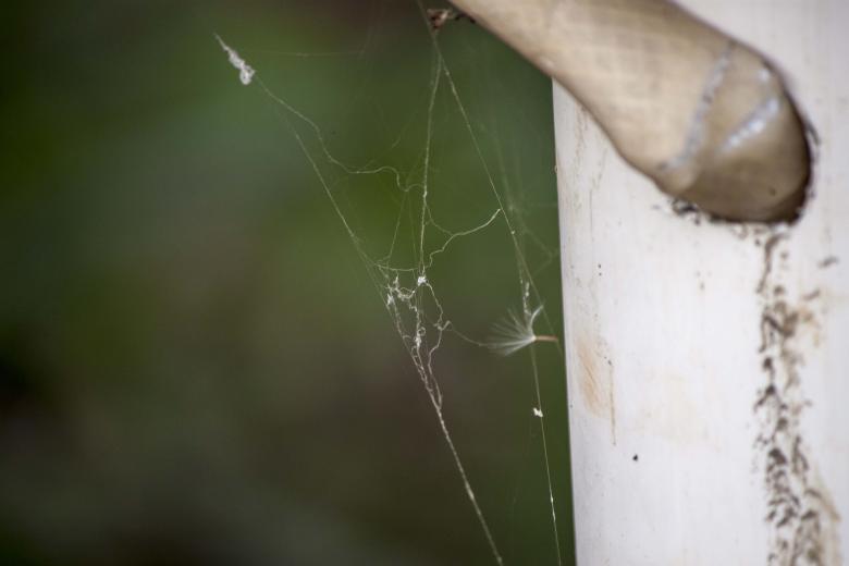 Free stock image of Cobweb on white pipe created by Eduardo Soares Bogosian