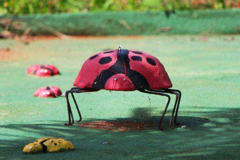 Free stock image of Concrete ladybug created by Eduardo Soares Bogosian
