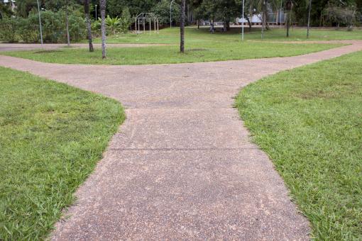 Free Stock Photo of Y Shaped Path in the Park