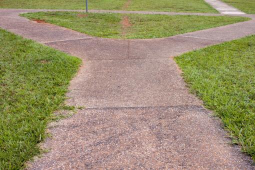 Free Stock Photo of Y Shaped Walking Path