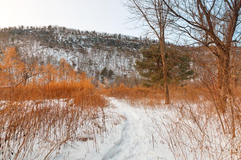 Free stock image of Winter McDade Trail - HDR created by Nicolas Raymond