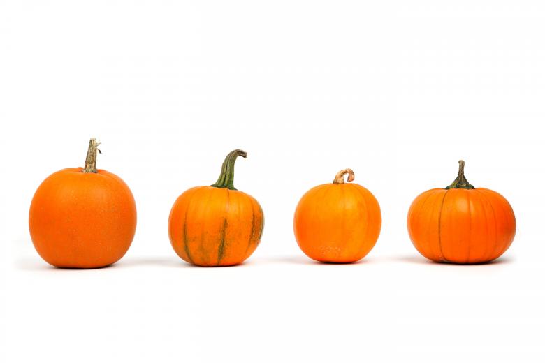 Free stock image of Wild Pumpkins created by Pixabay