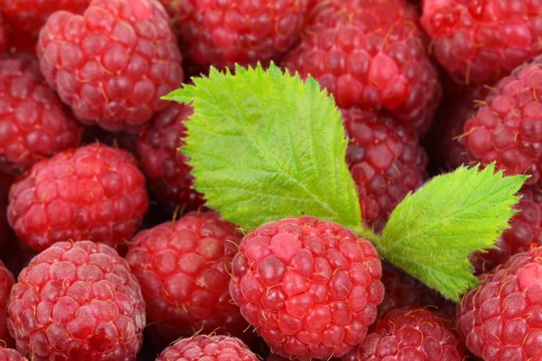 Free stock image of Fresh Raspberries created by Pixabay