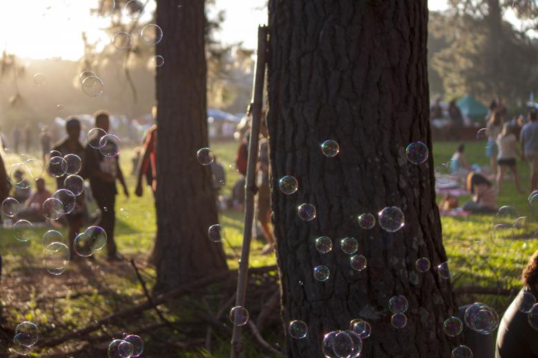 Free stock image of Bubbles in the Park created by Eduardo Soares Bogosian