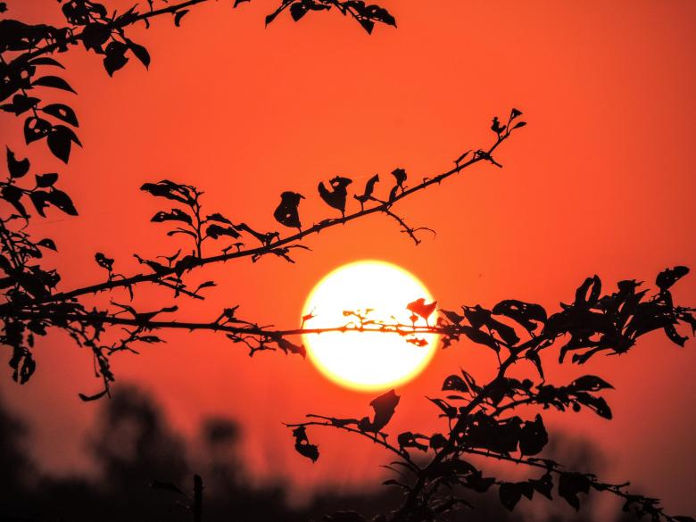 Free stock image of Sunset at Evening created by surajit mondal