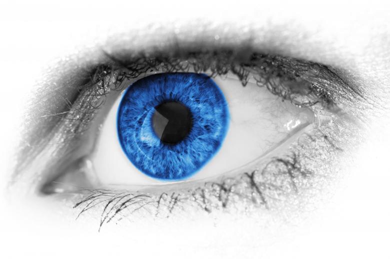 Free stock image of Blue Human Eye created by Pixabay