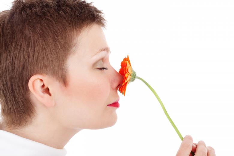 Free stock image of Girl Smelling Flower created by Pixabay